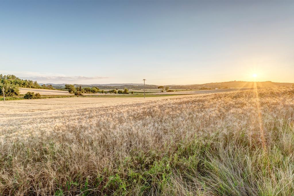 Agriturismo Il Poggiarello Foiano Della Chiana Eksteriør billede