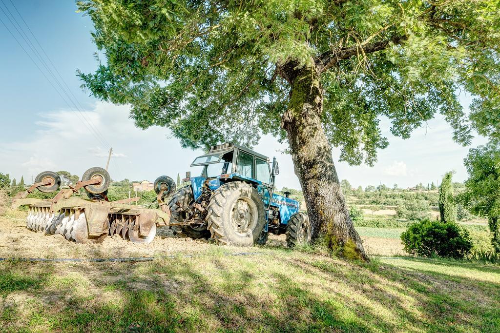 Agriturismo Il Poggiarello Foiano Della Chiana Eksteriør billede